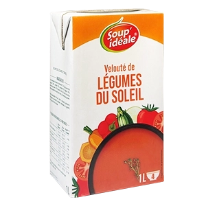 Vignette brique classique velouté de légumes du soleil